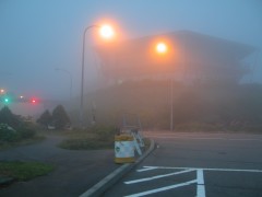 濃霧のドライブイン大観山