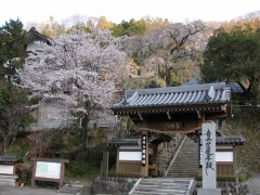 身延山のあたりで